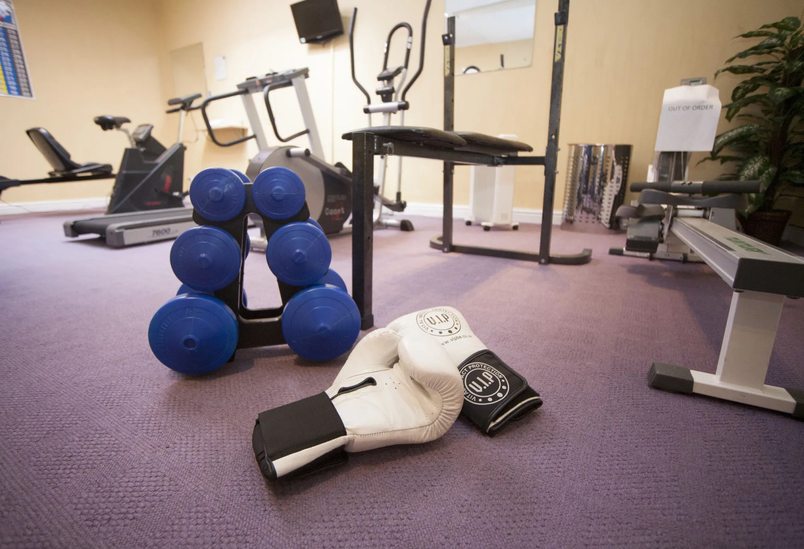 The White Swan Hotel