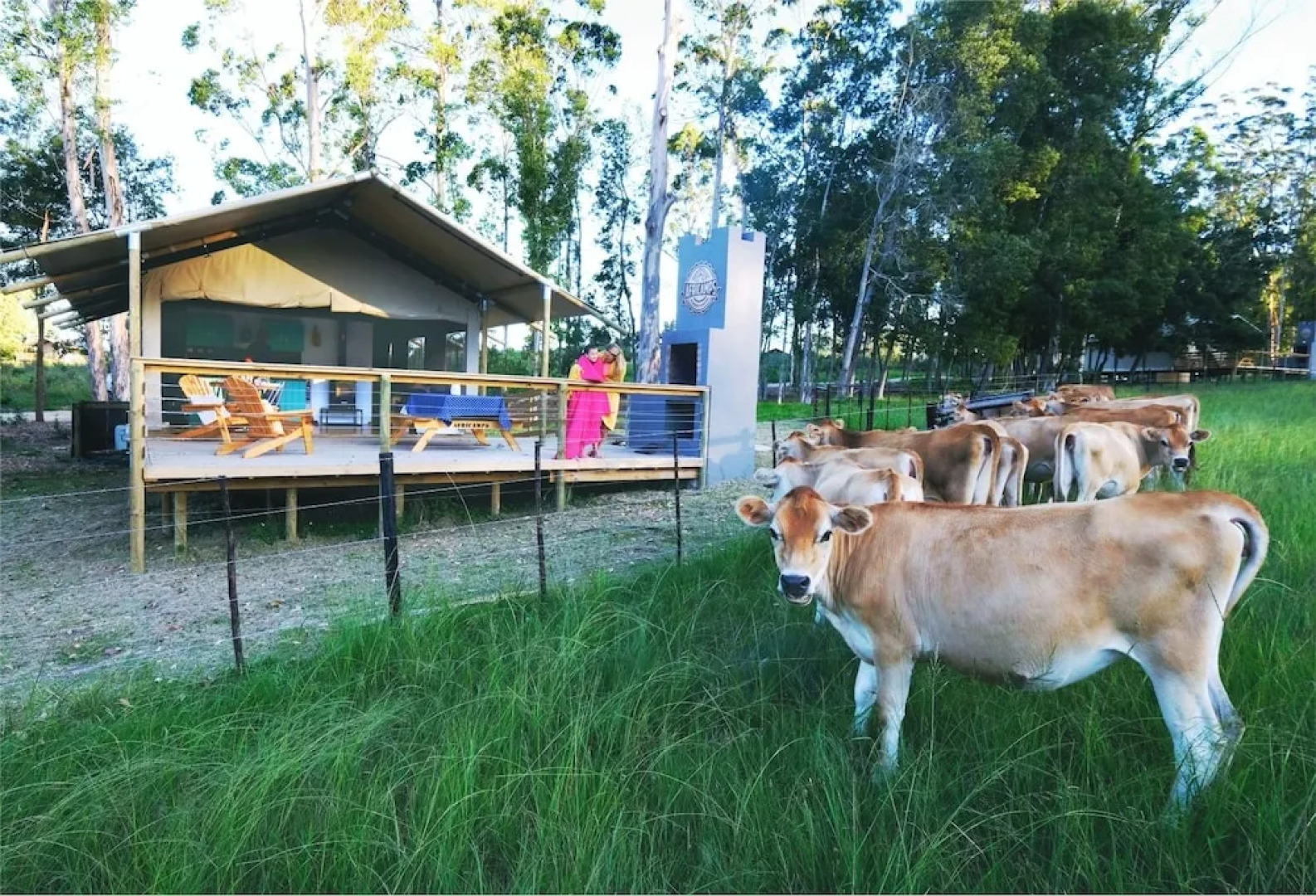 AfriCamps at Oakhurst- Glamping