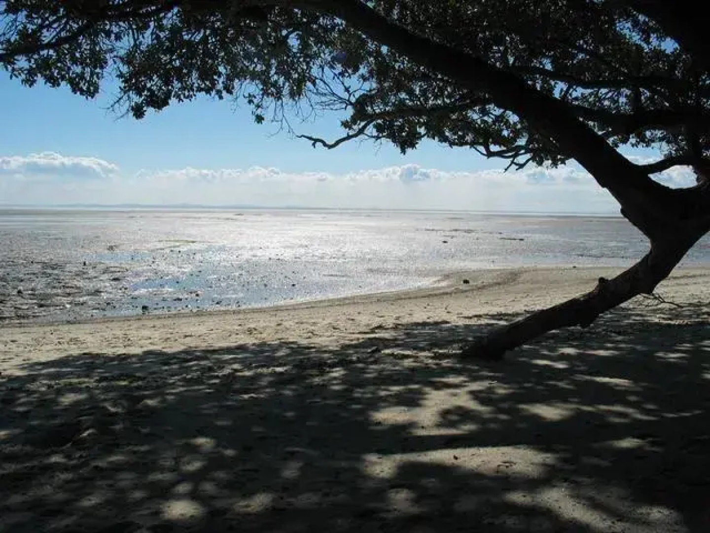 Clarks Beach Holiday Park