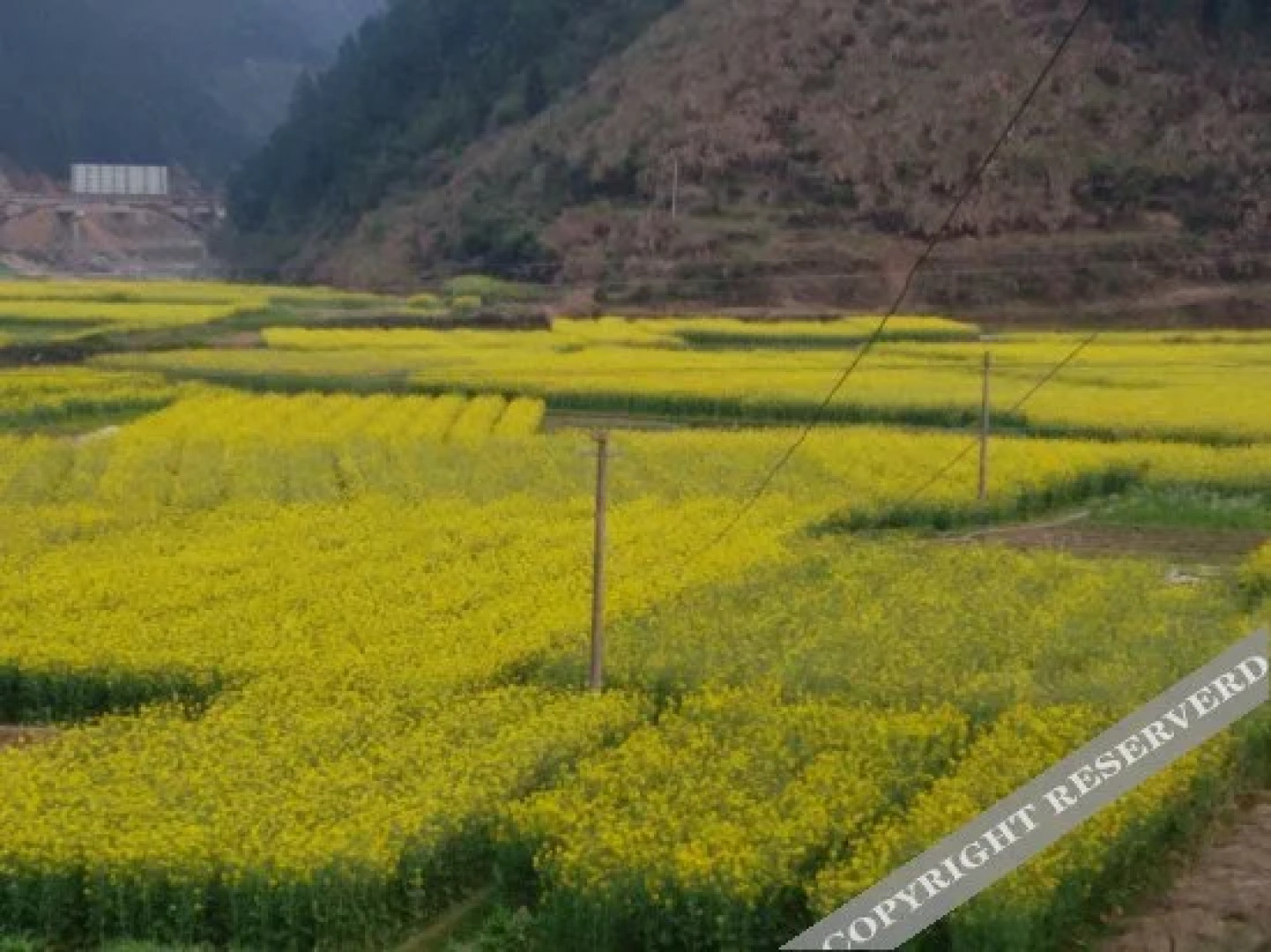Sanqingshan Hongda Guest House