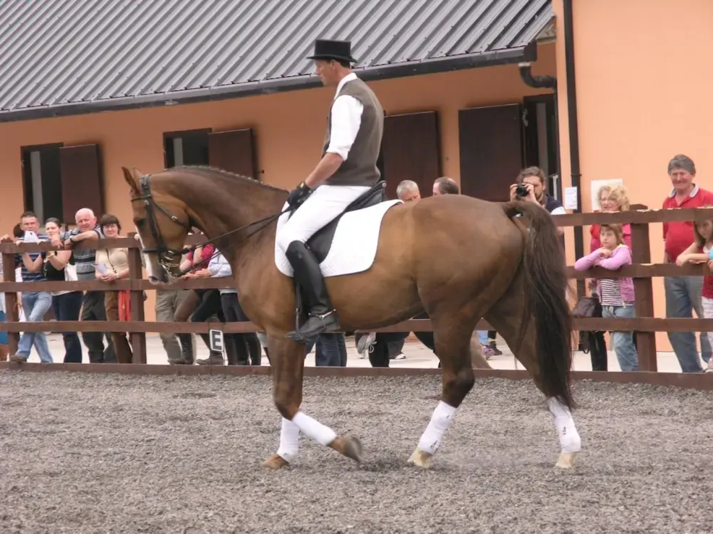 Eclipse Equestrian & Activity Centre