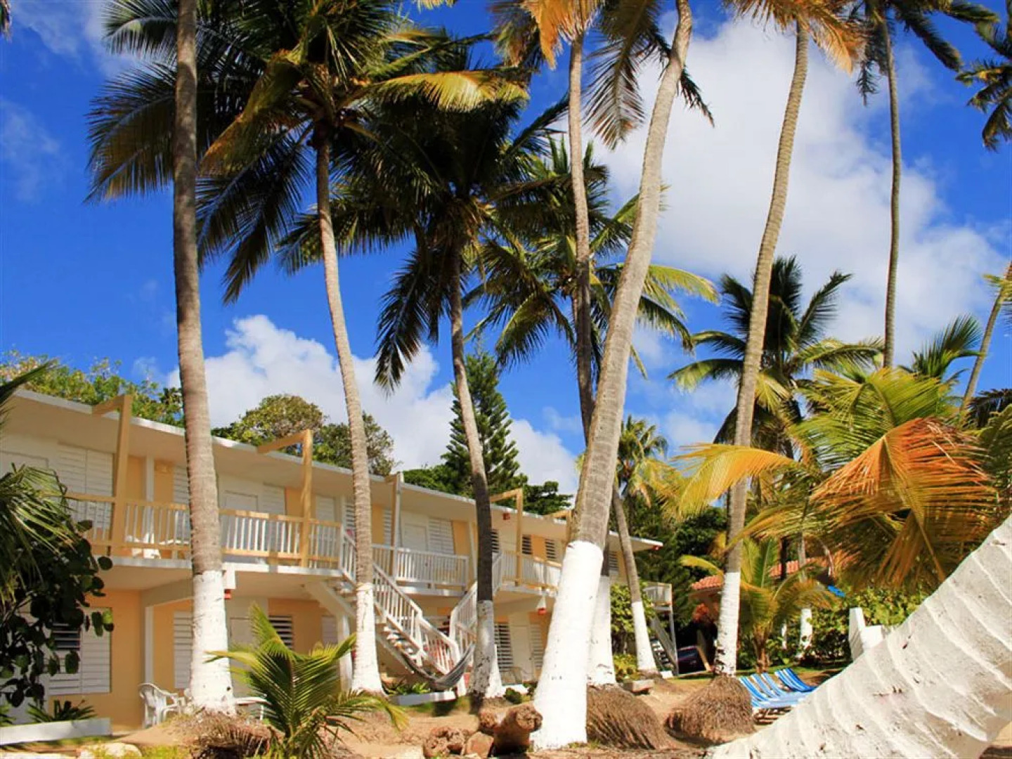 Caribe Playa Beach Resort