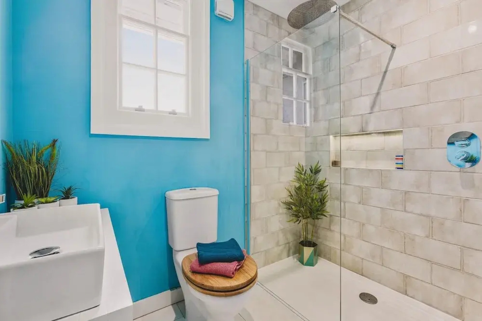 Little Redlap in Dartmouth