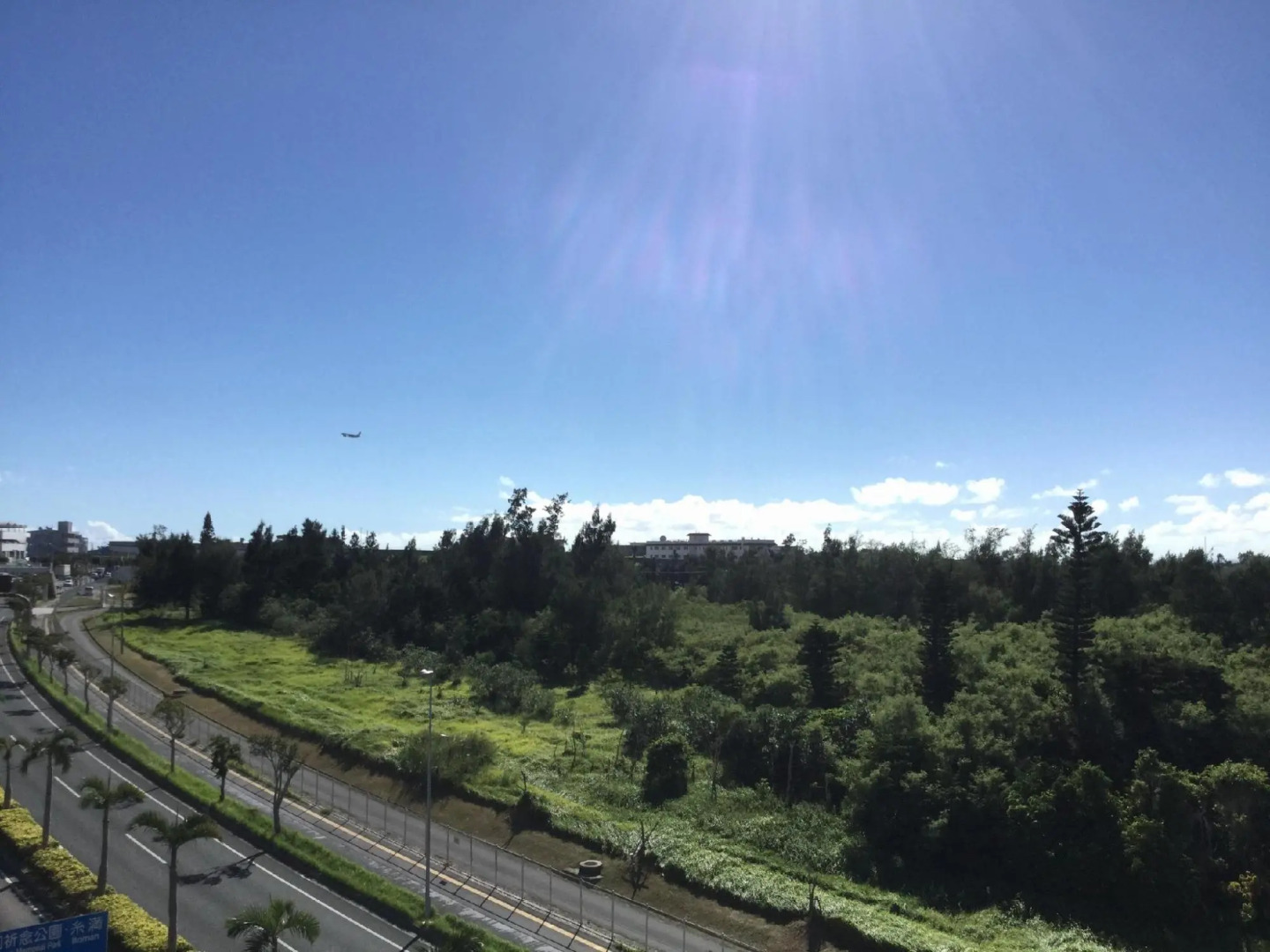 Mr.KINJO VIOLETTE KUKOMAE