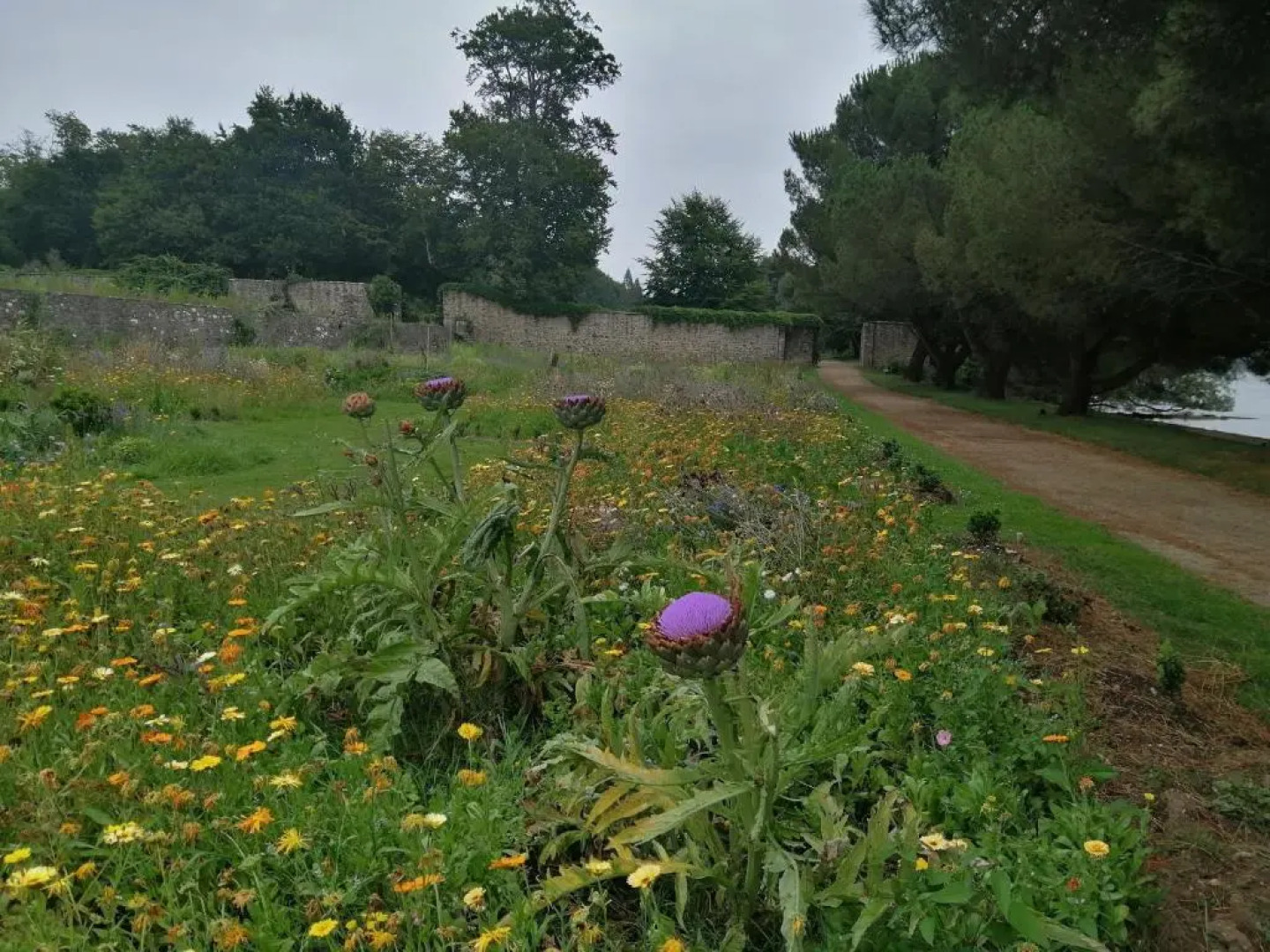 Royal Castel mobile home