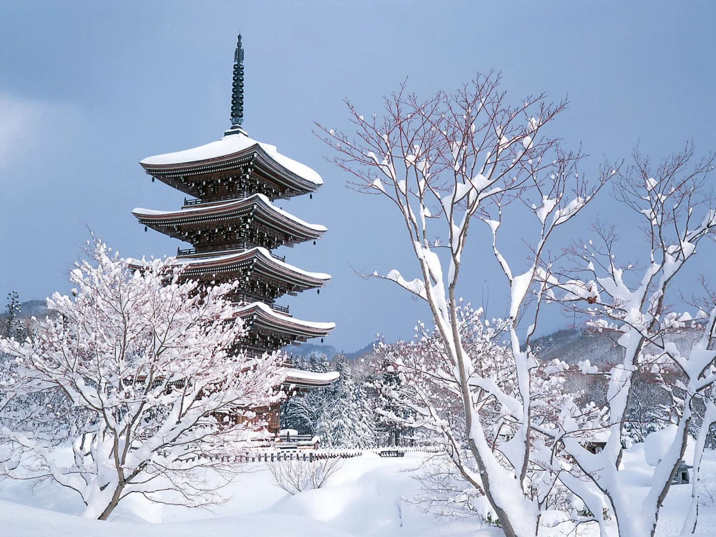 Hotel Premium Green Hills