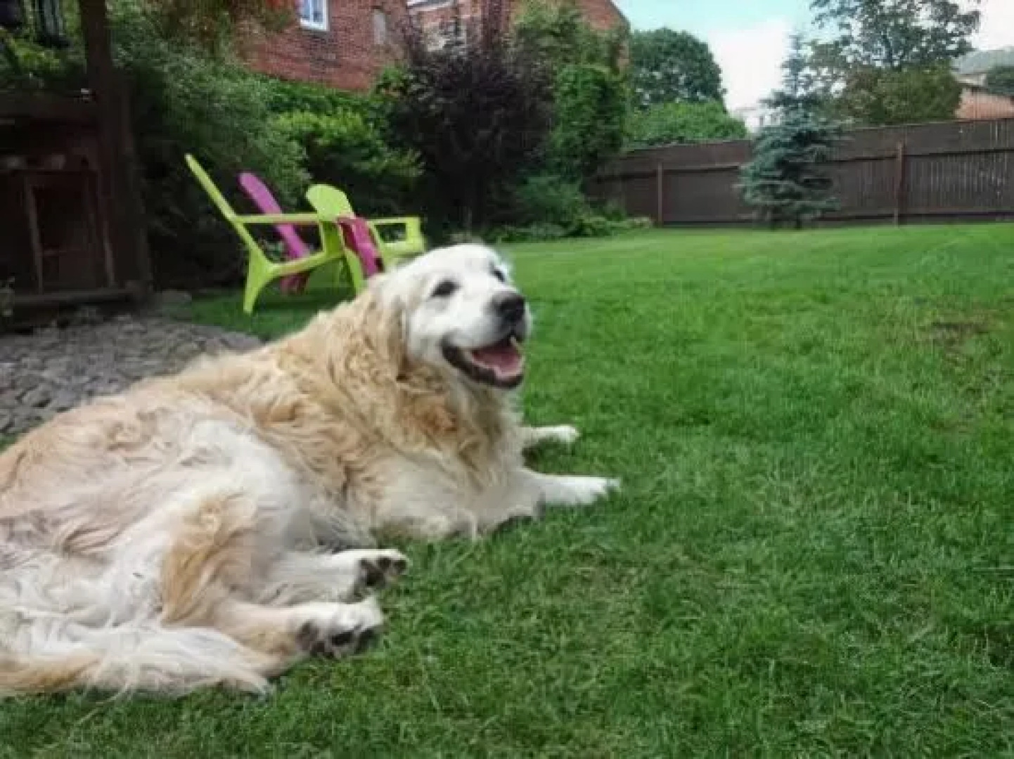 Toma street apartments