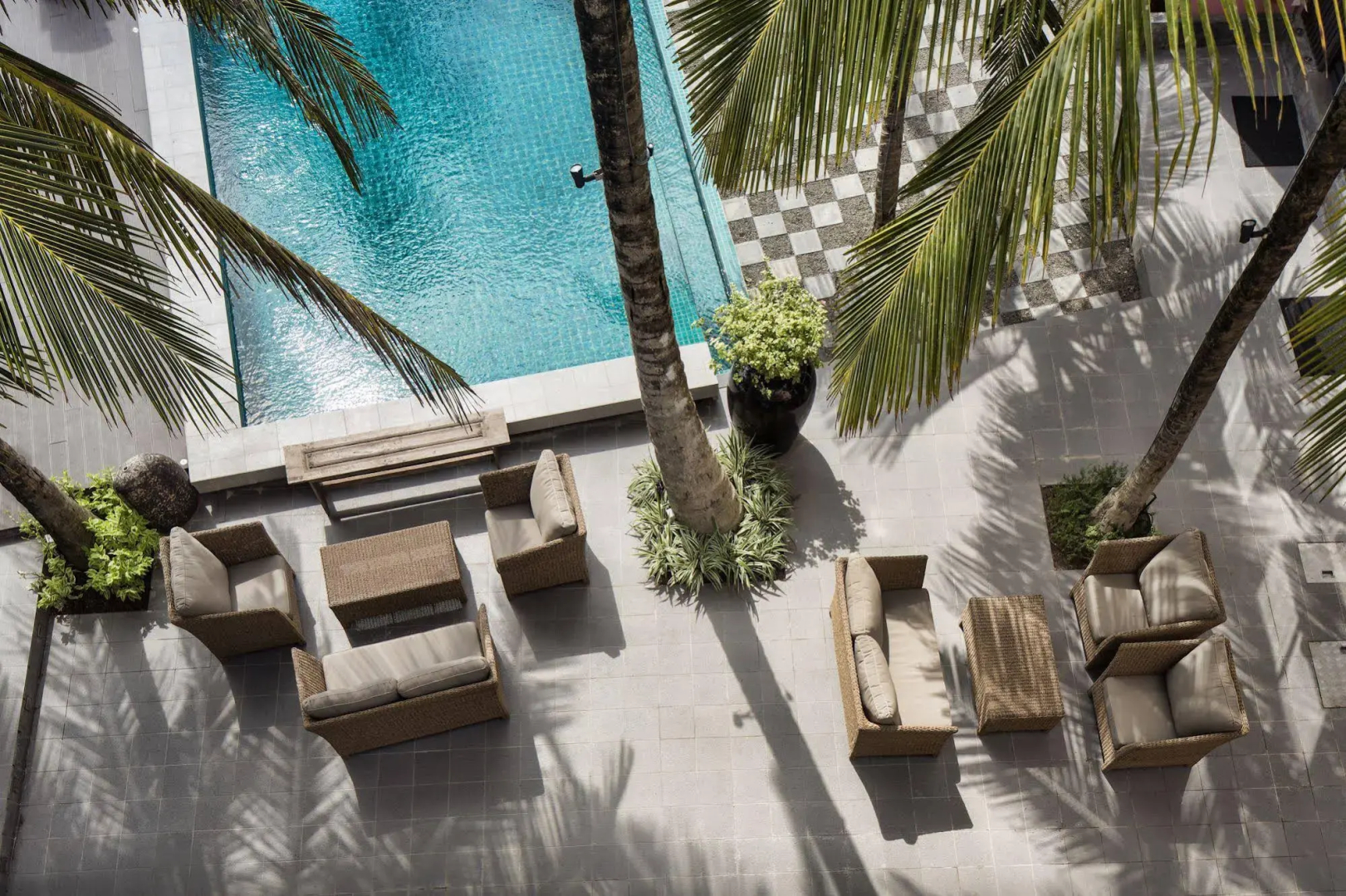 Owl and the Pussycat