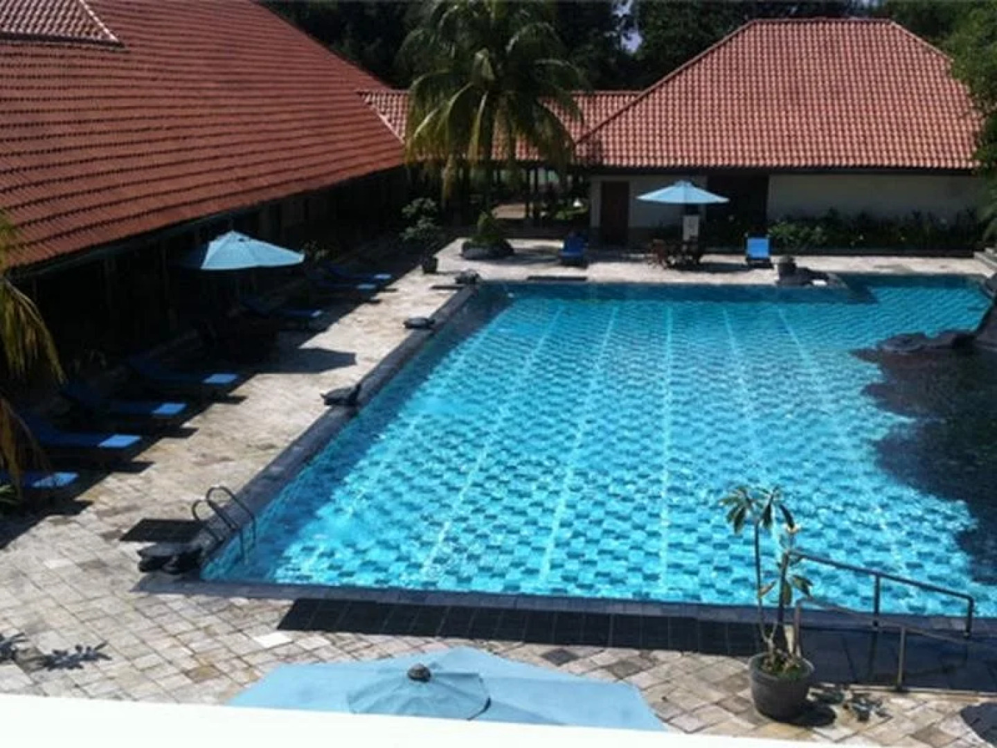 Country Woods Jakarta