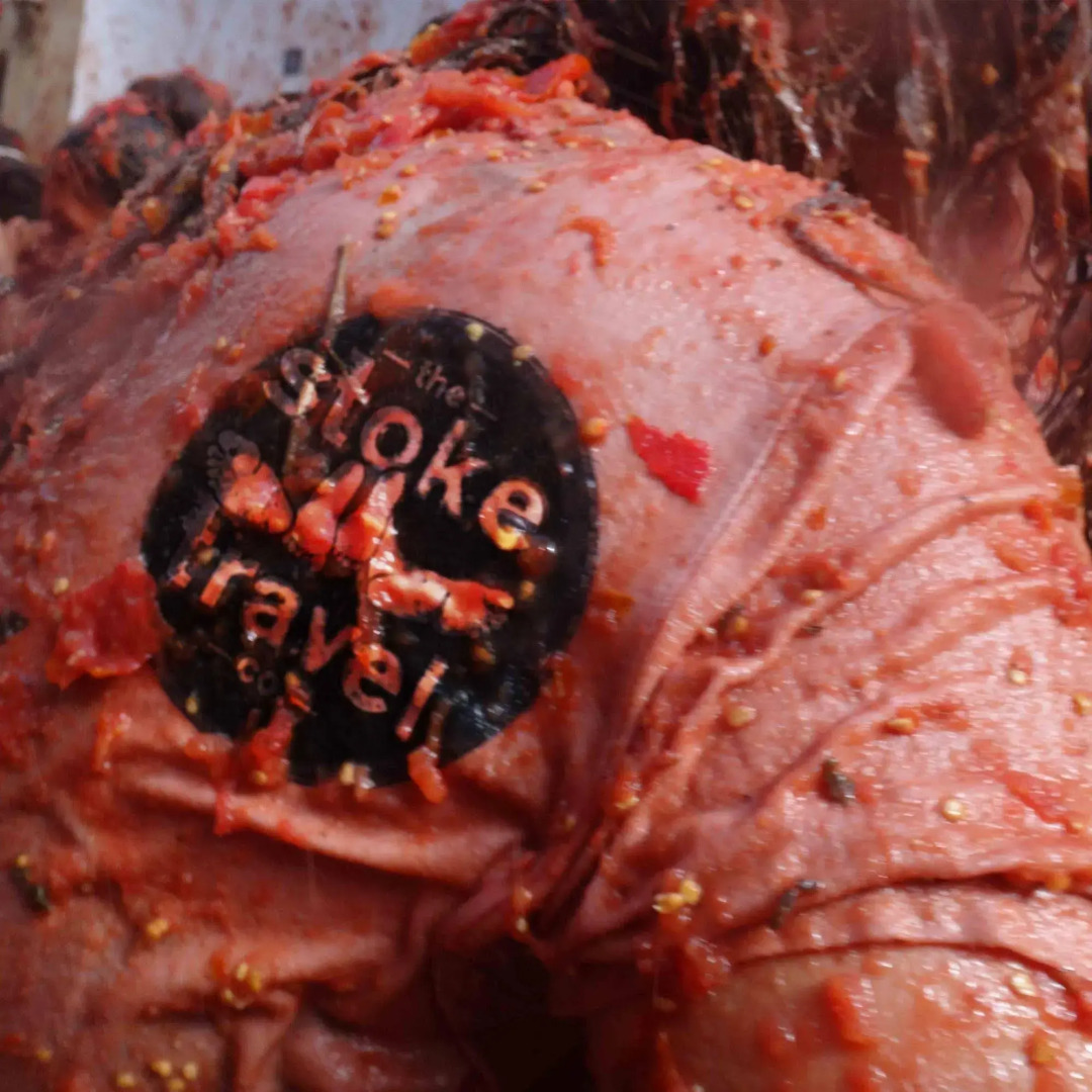 Valencia Festival Camping