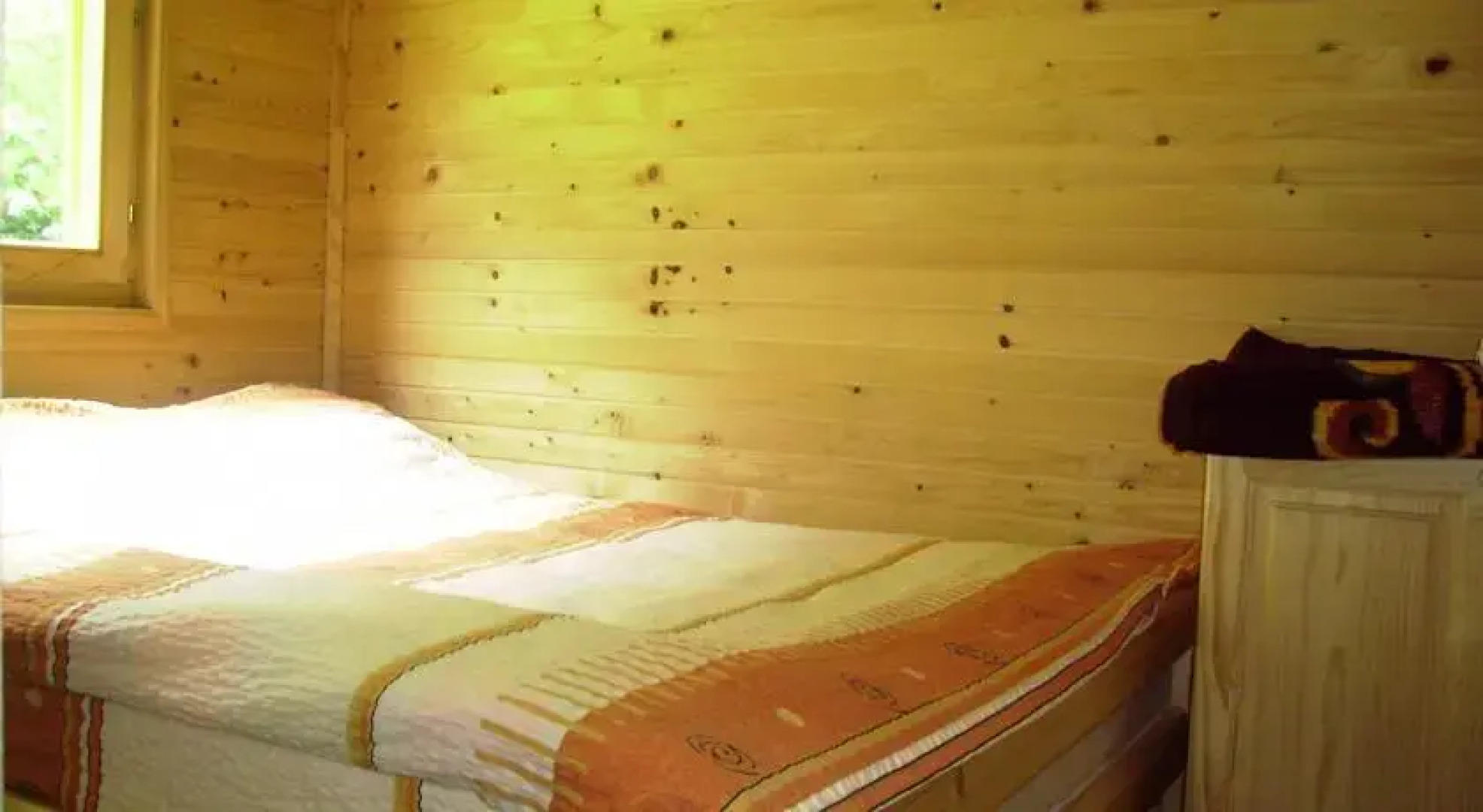 Eko Oaza-Tear of Europe