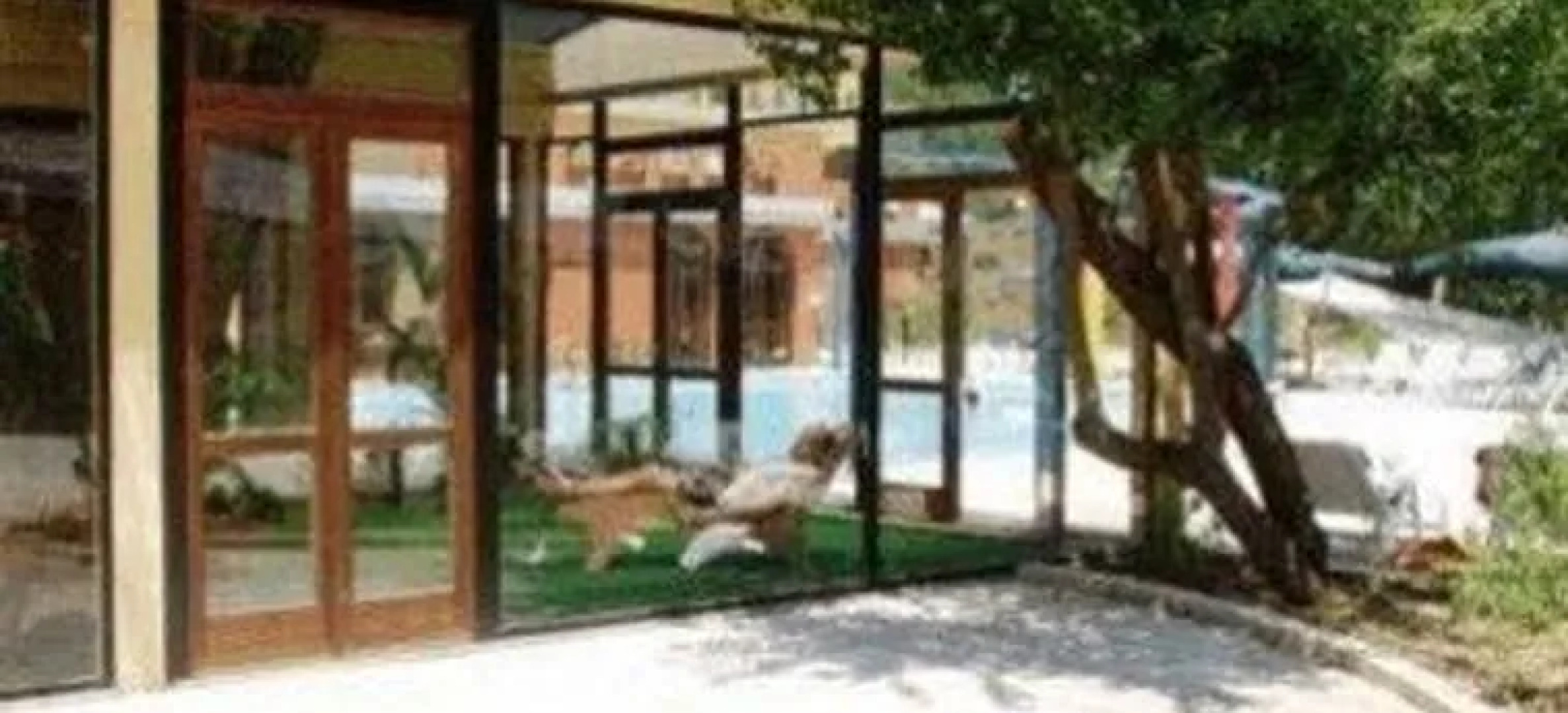 Antas Hotel Congress And Spa