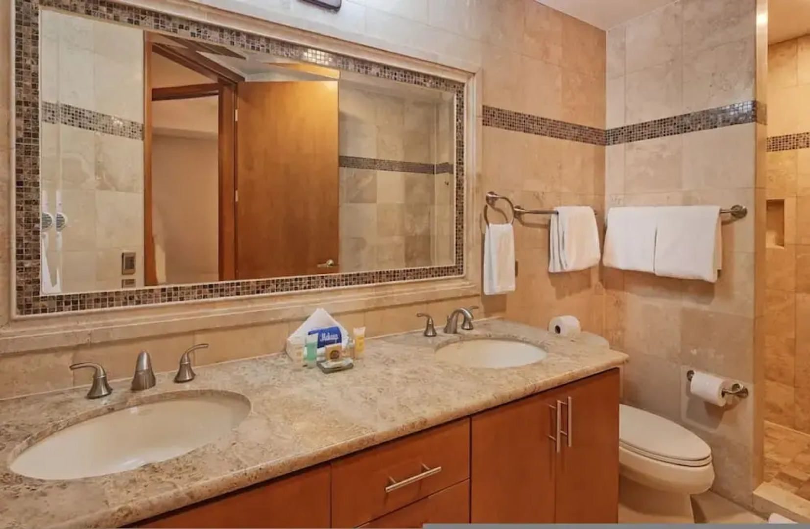 Luxury Las Palomas Oceanview Condo - Phase 2