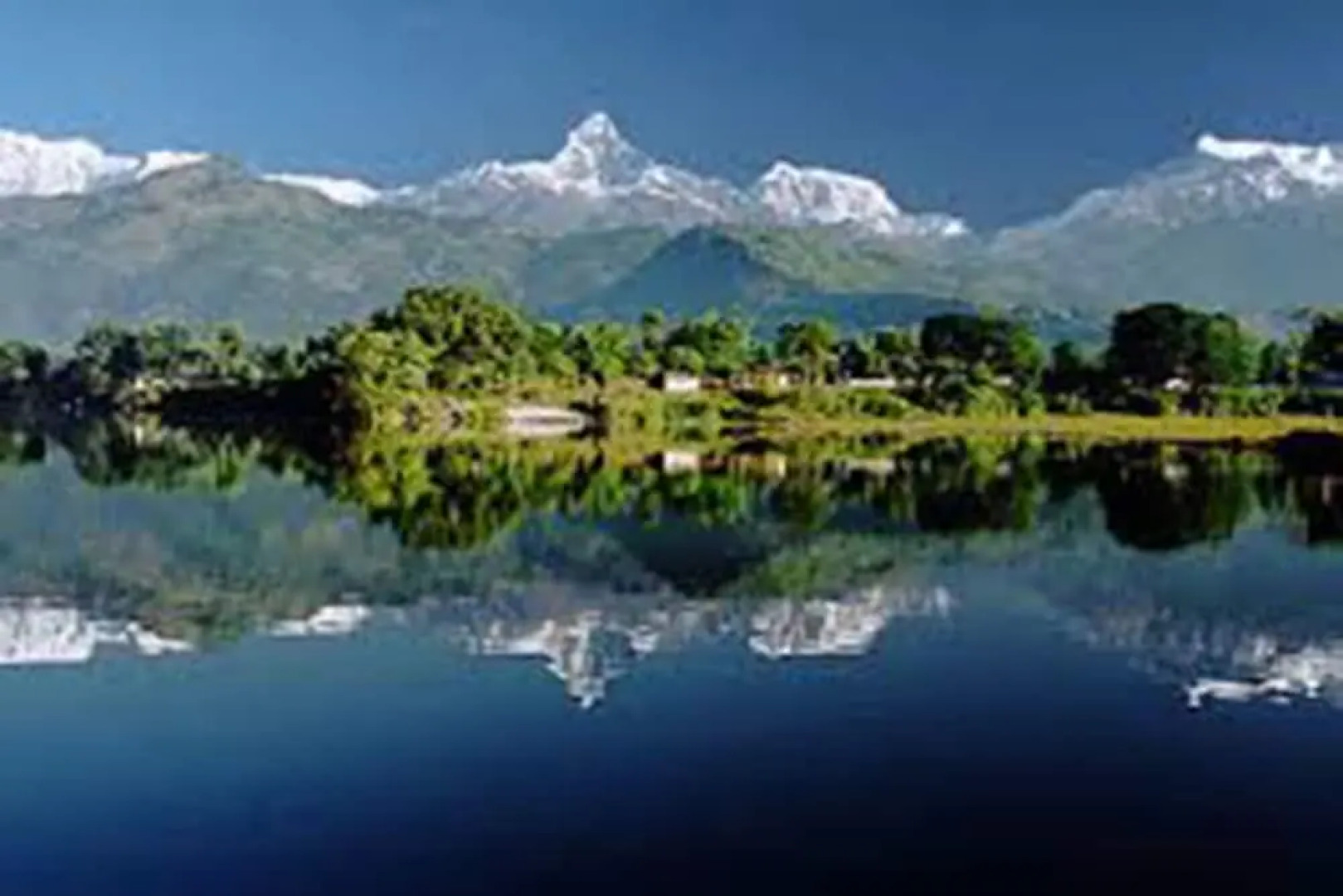 Hotel The White Lotus View