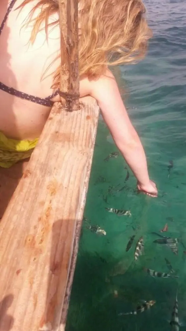 Sea Front Mafia Lodge