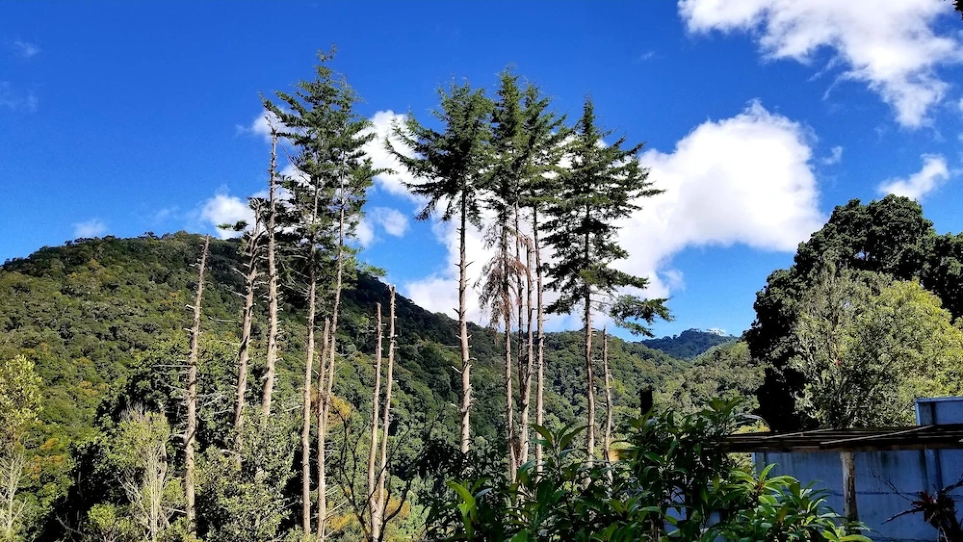 Quaint Mtn Cabins in San Gerardo Dota
