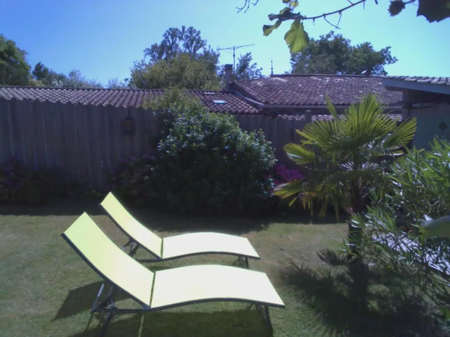 Les Arums de Fondeminjean