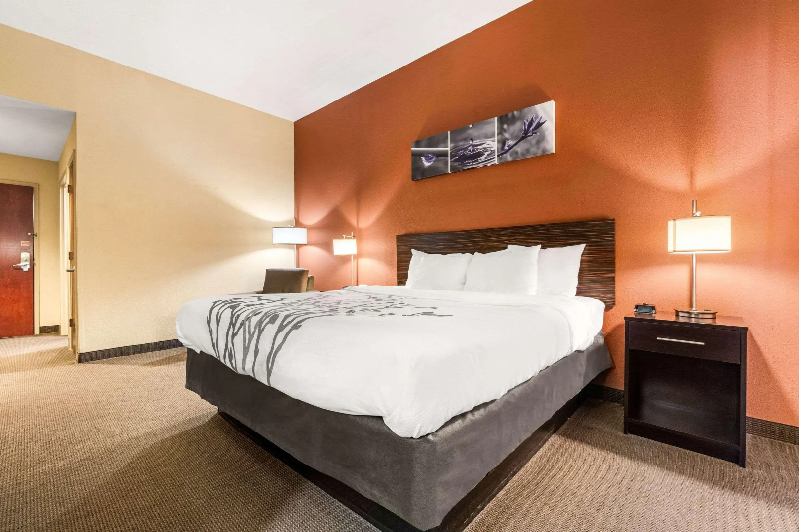 Sleep Inn & Suites Dyersburg I-155
