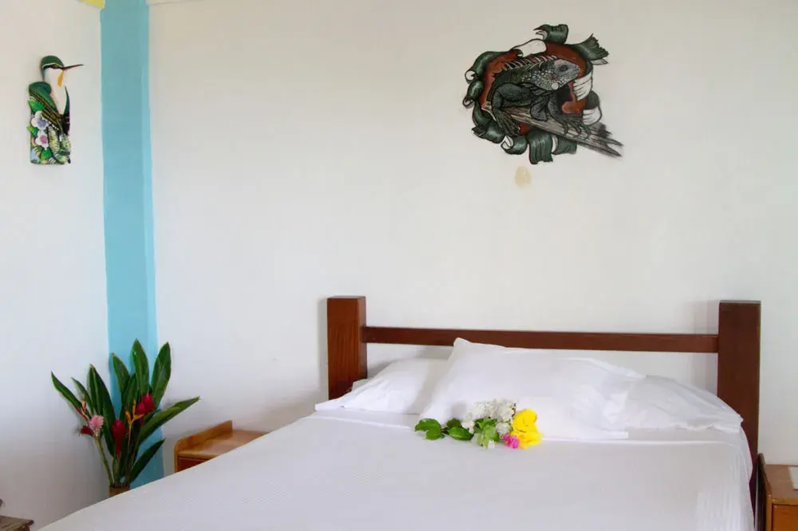 Lookout Inn Beach Rain forest Eco Lodge