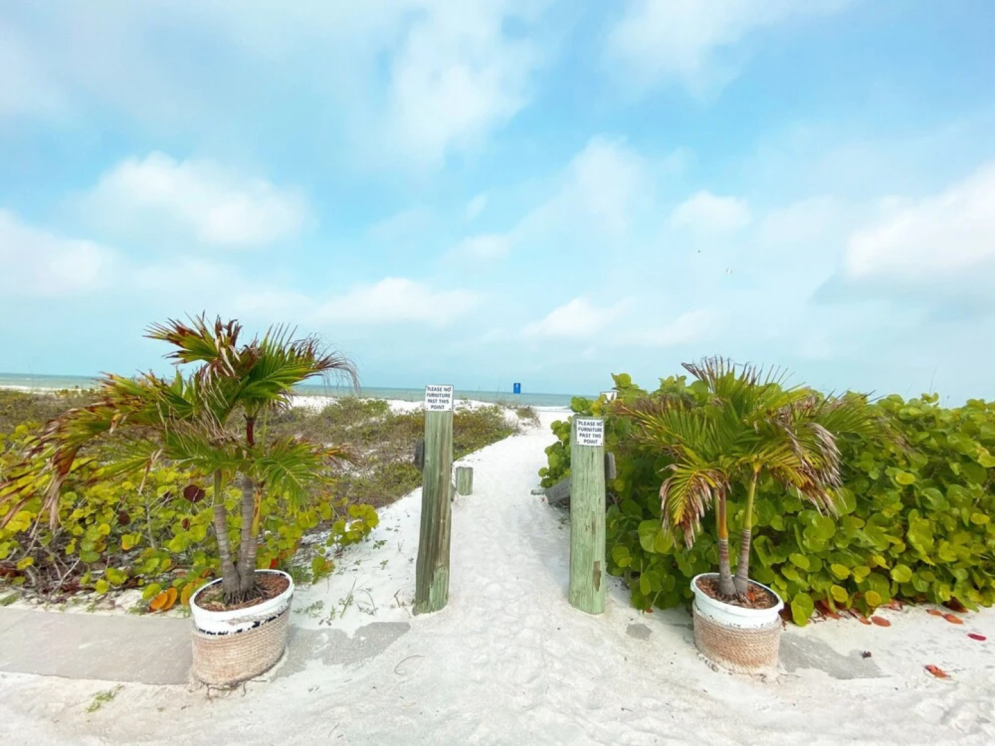 Nautical Watch by Liberté