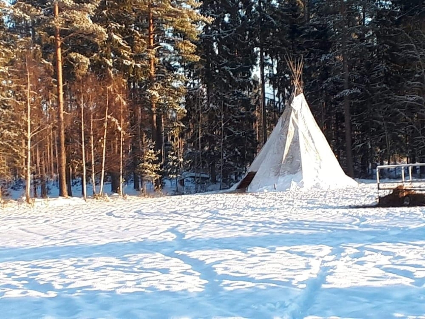 Tiny hut in the Forest Overlooking the River