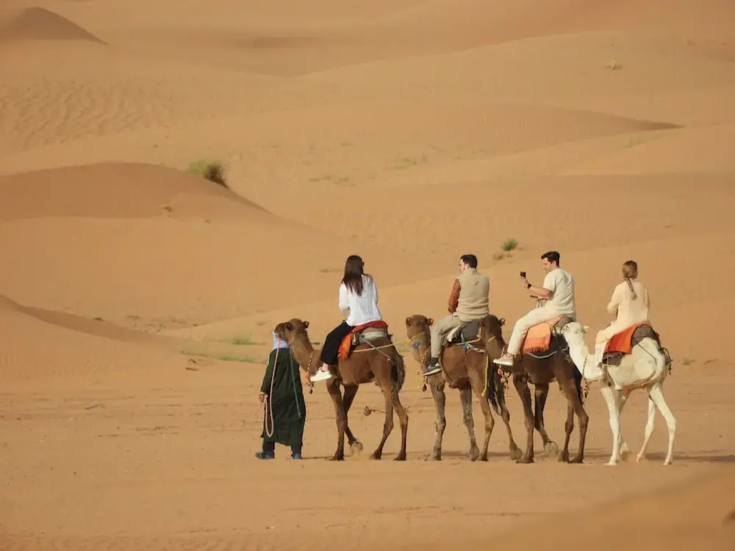 Sahara Camel Trips