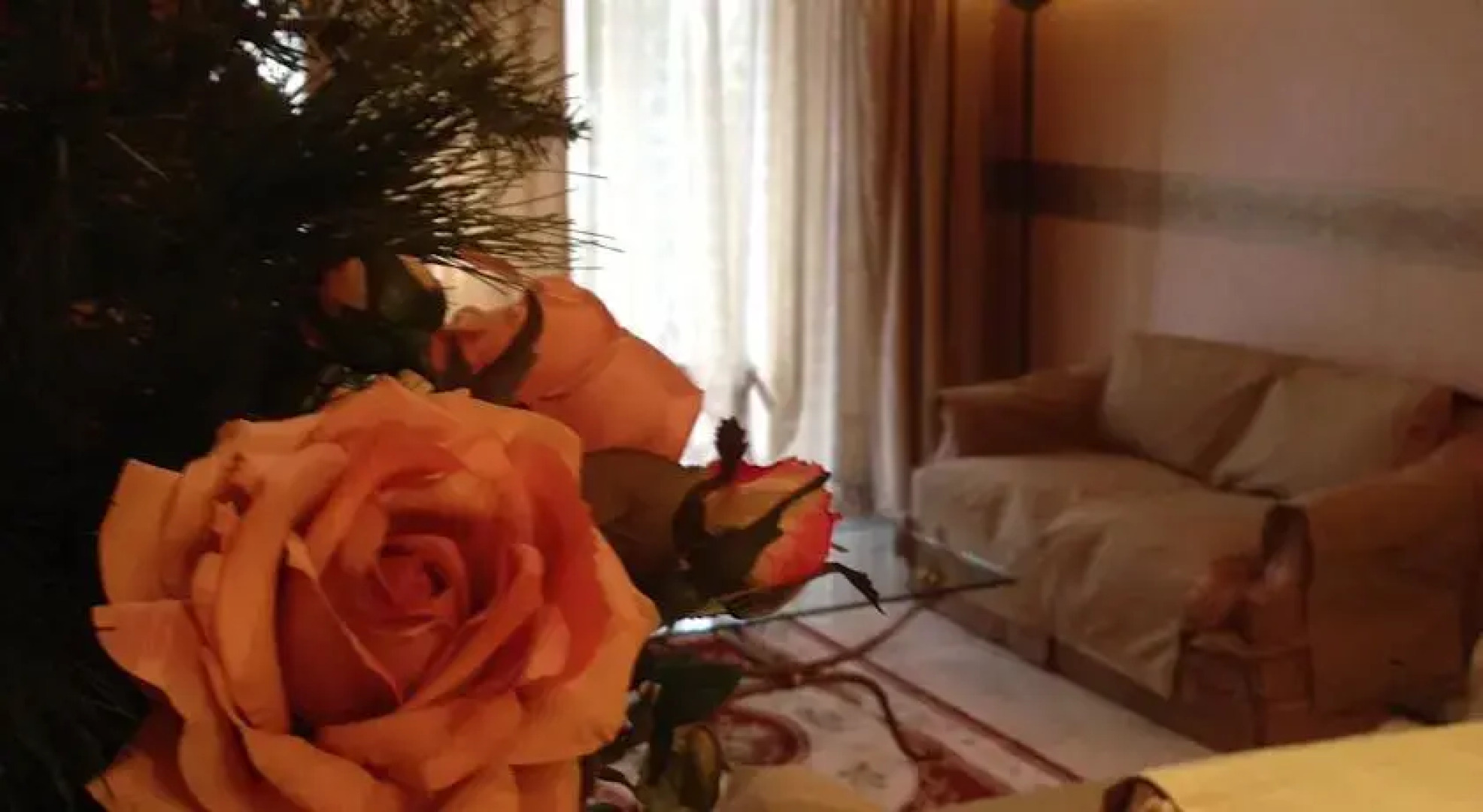 B&B Il Bagolaro dellEtna