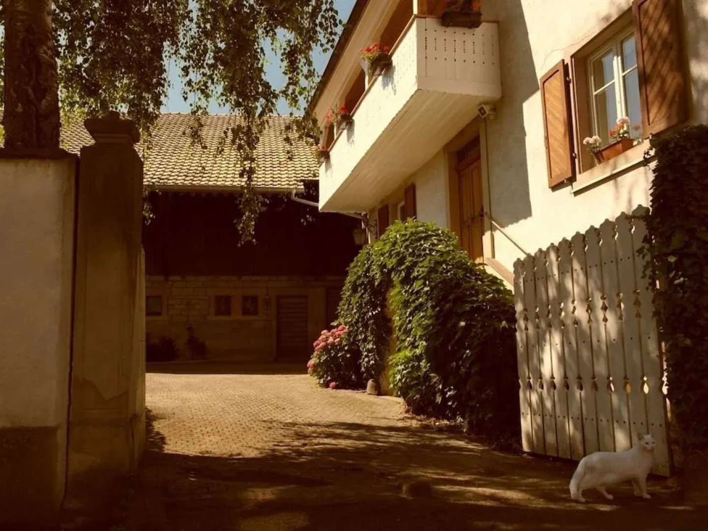 La Vieille Vigne Bed & Breakfast