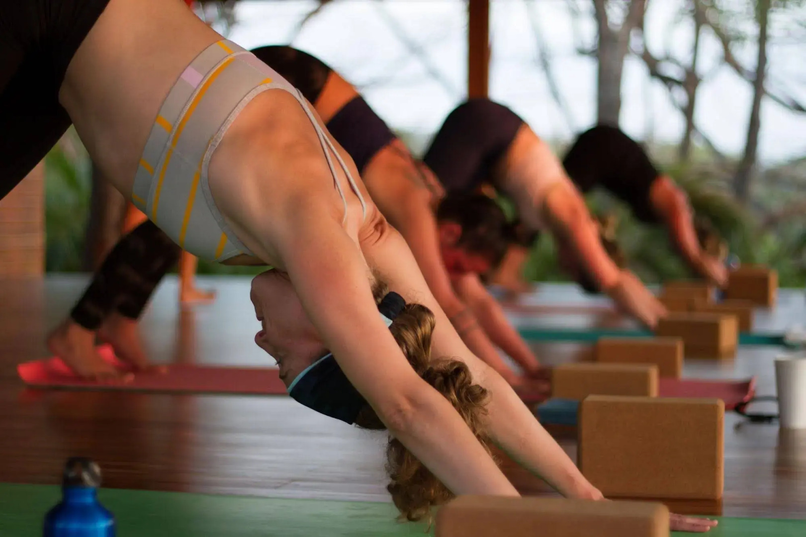 Bodhi Tree Yoga Resort