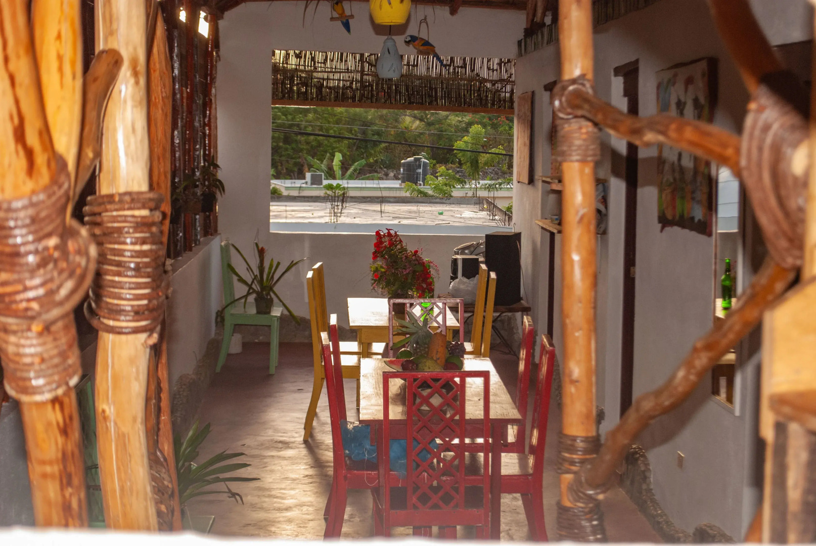 Hostel La Ballena Backpacker