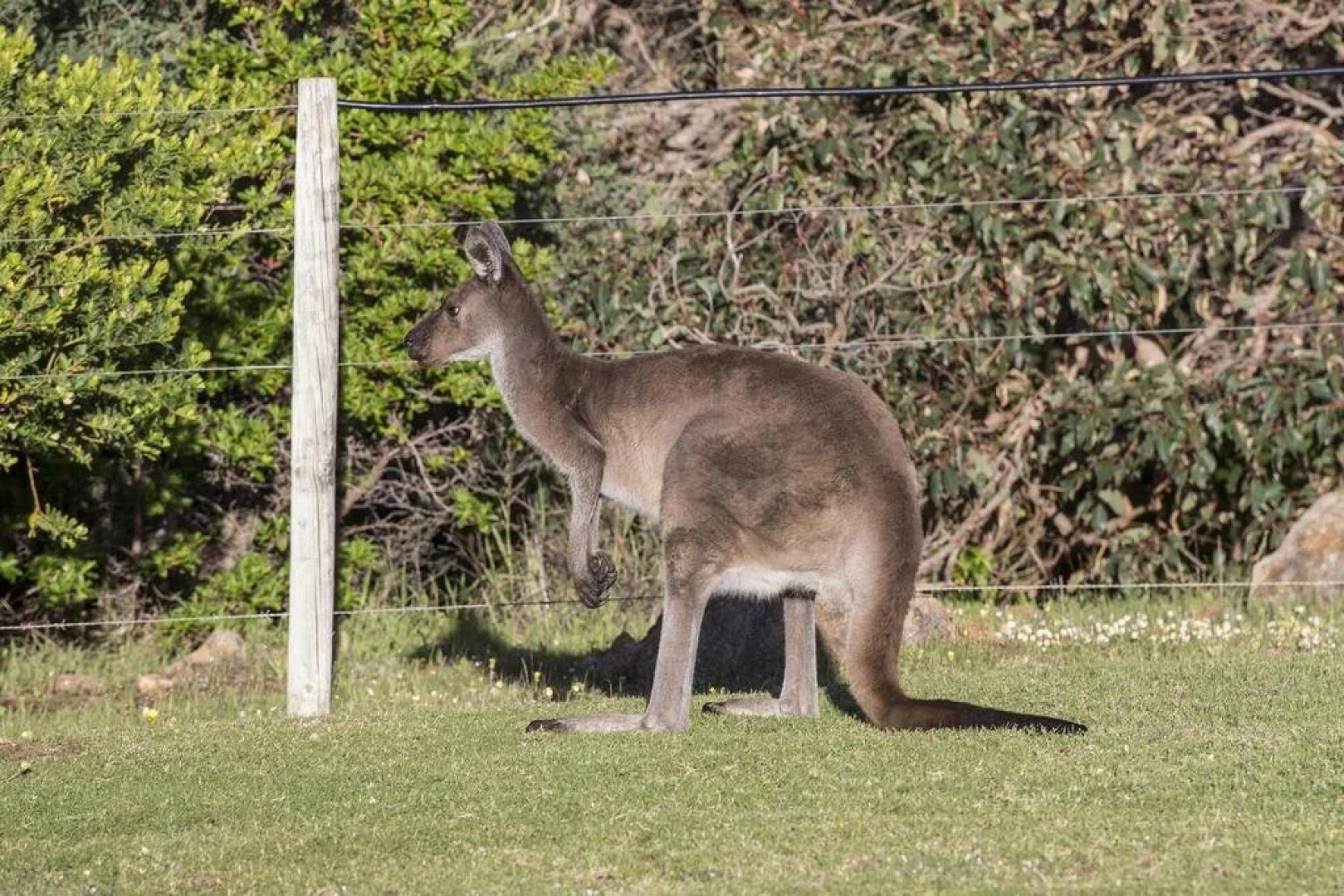 Chandlers Smiths Beach Villas