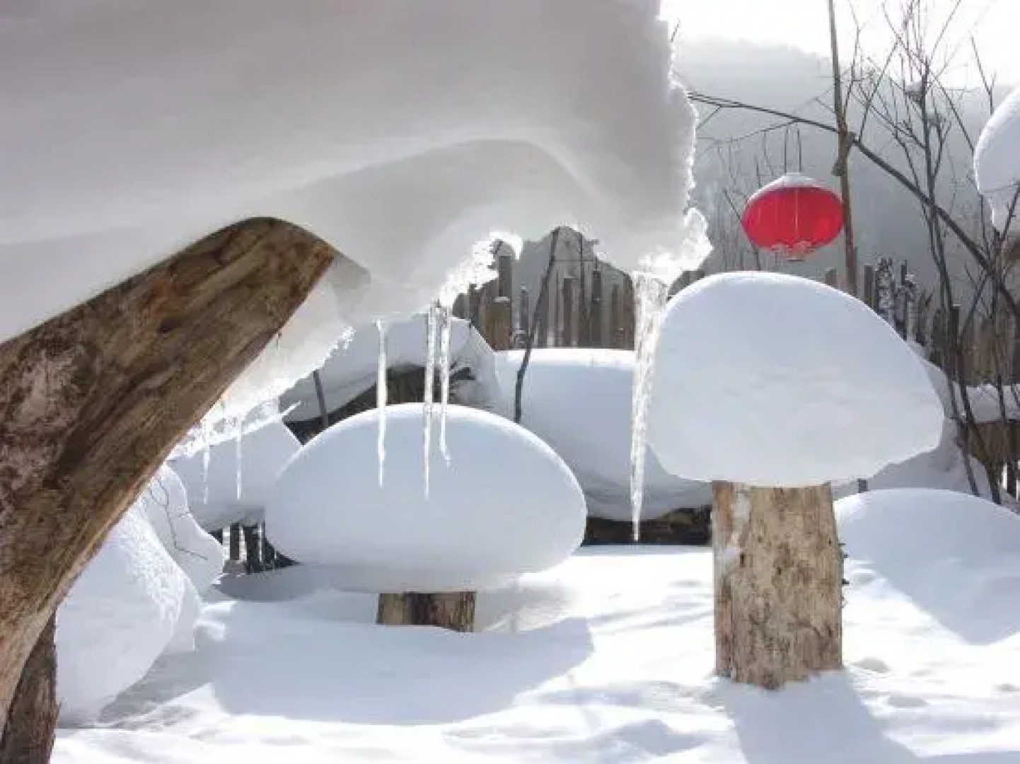 Xuexiang Zhaolao'er Family Hotel