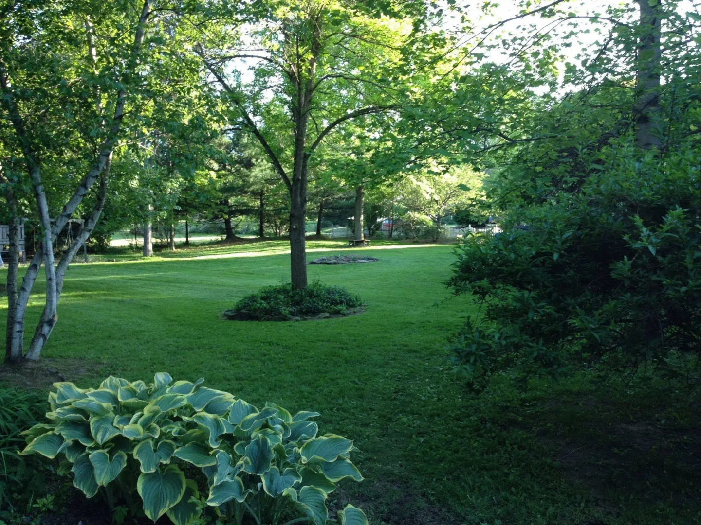 Silver Fern Bed and Breakfast