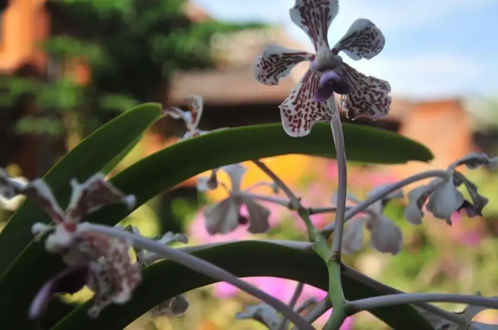 Puri Sunny Guesthouse