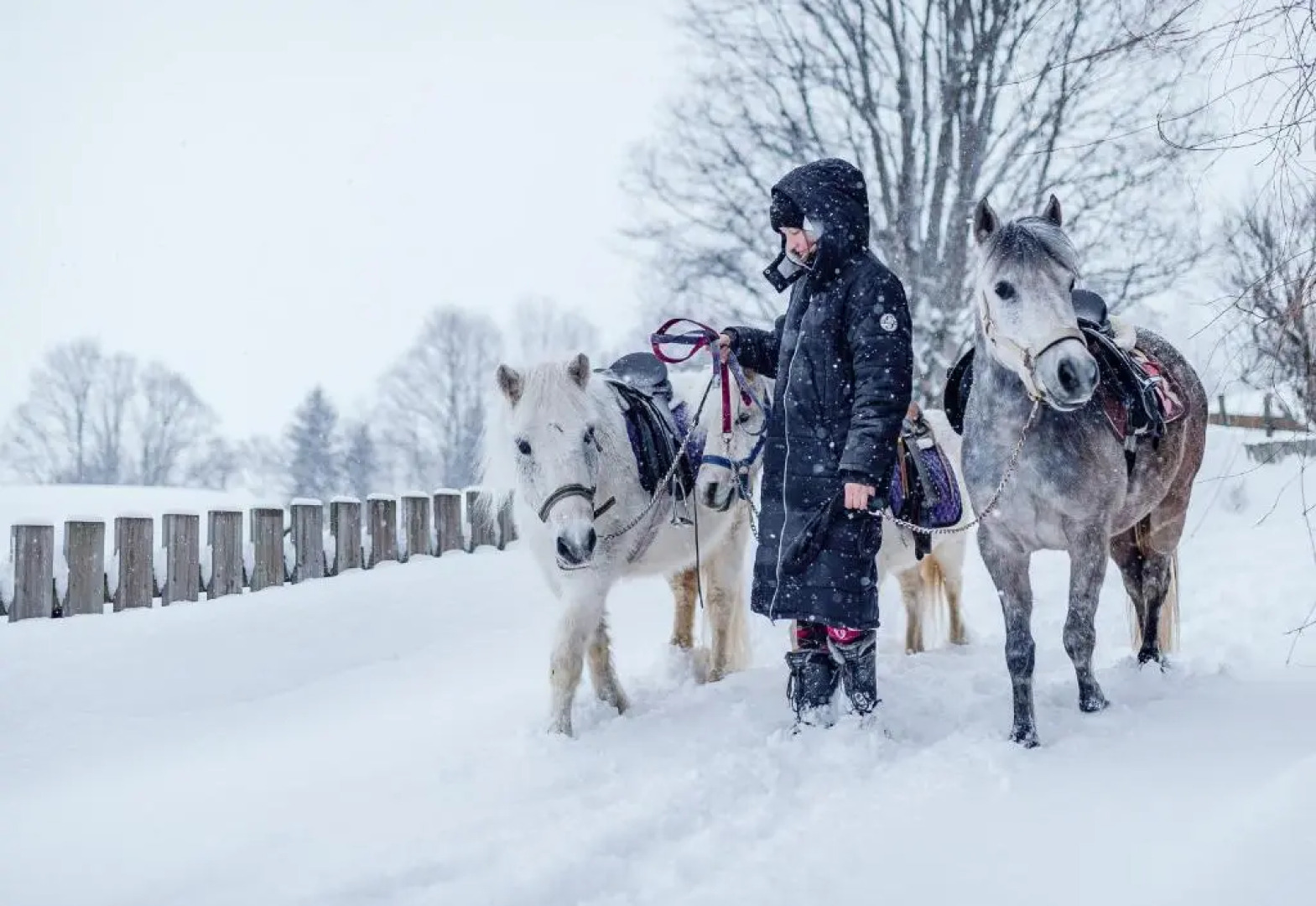 Familienresort Ellmauhof - das Feriengut