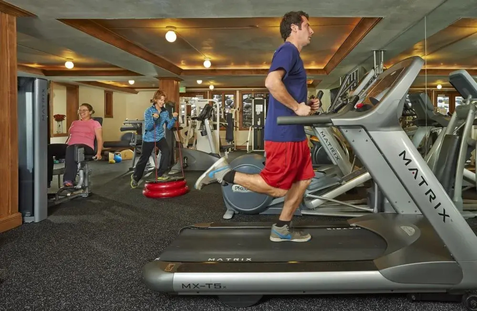 Standard Aspen Alps #103