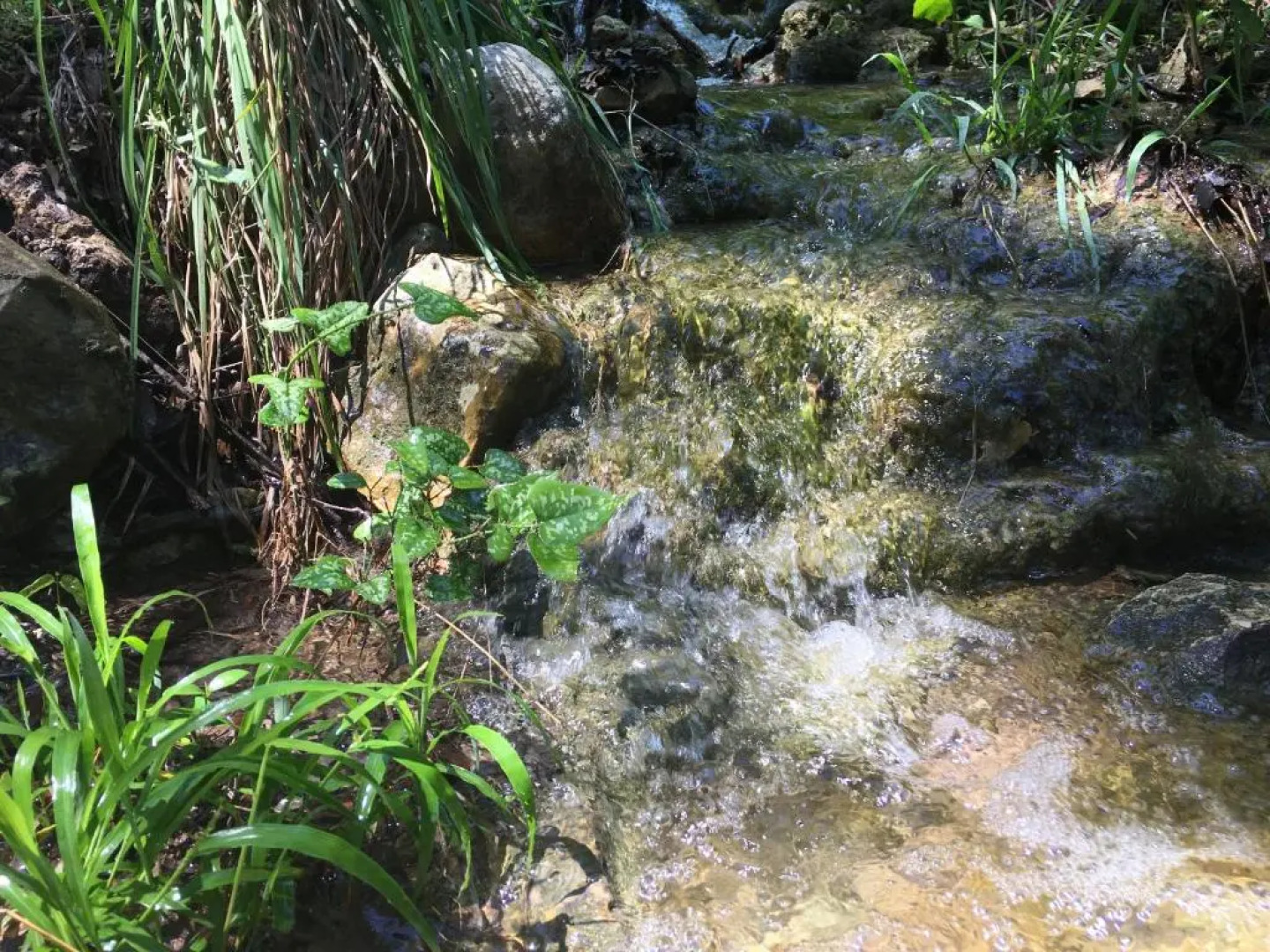 Lake Austin Luxury Guesthouse Cabin Retreat & Modern Farmhouse Suite