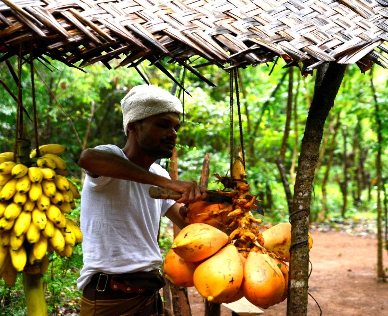 Mahagedara Wellness Retreat