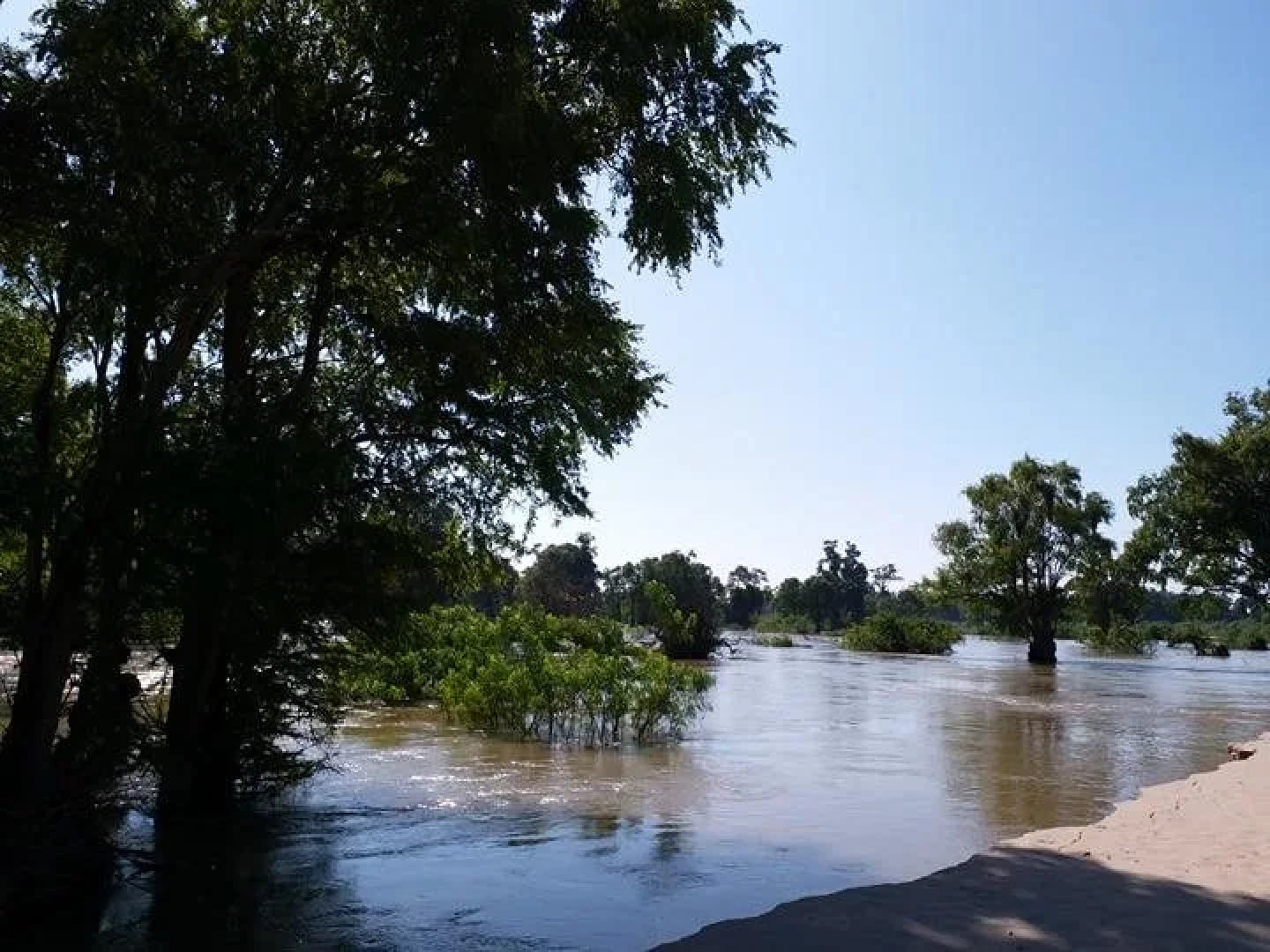 Silver Dolphin Guesthouse