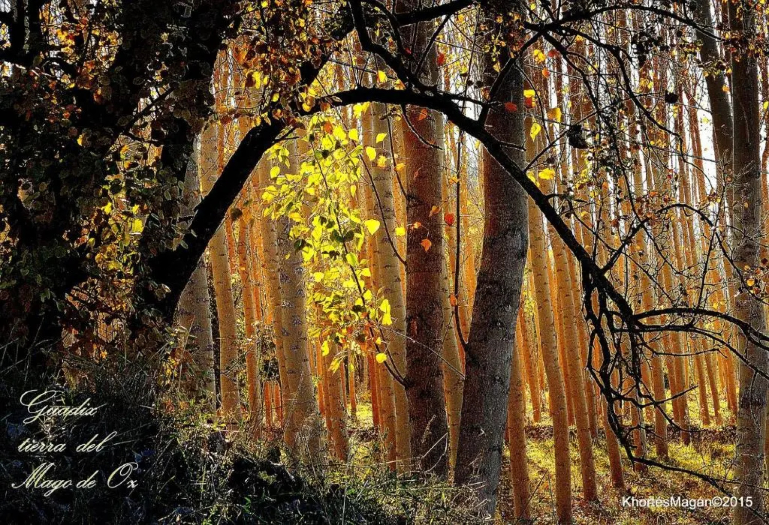 Hotel Palacio de Oñate Spa