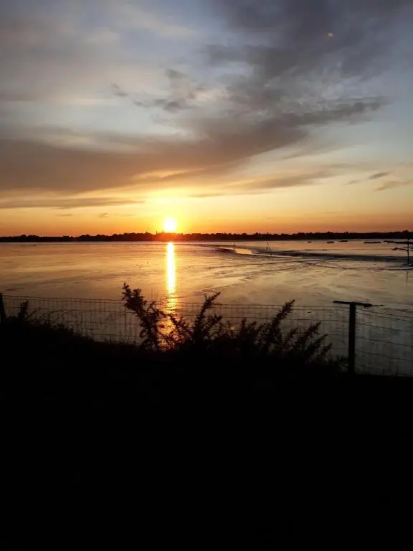 Auprès de mon arbre