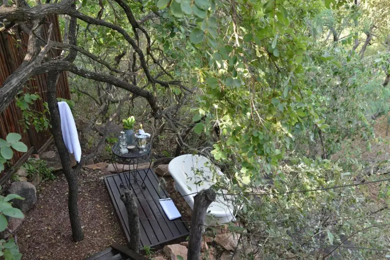 Wild & Free Game Lodge