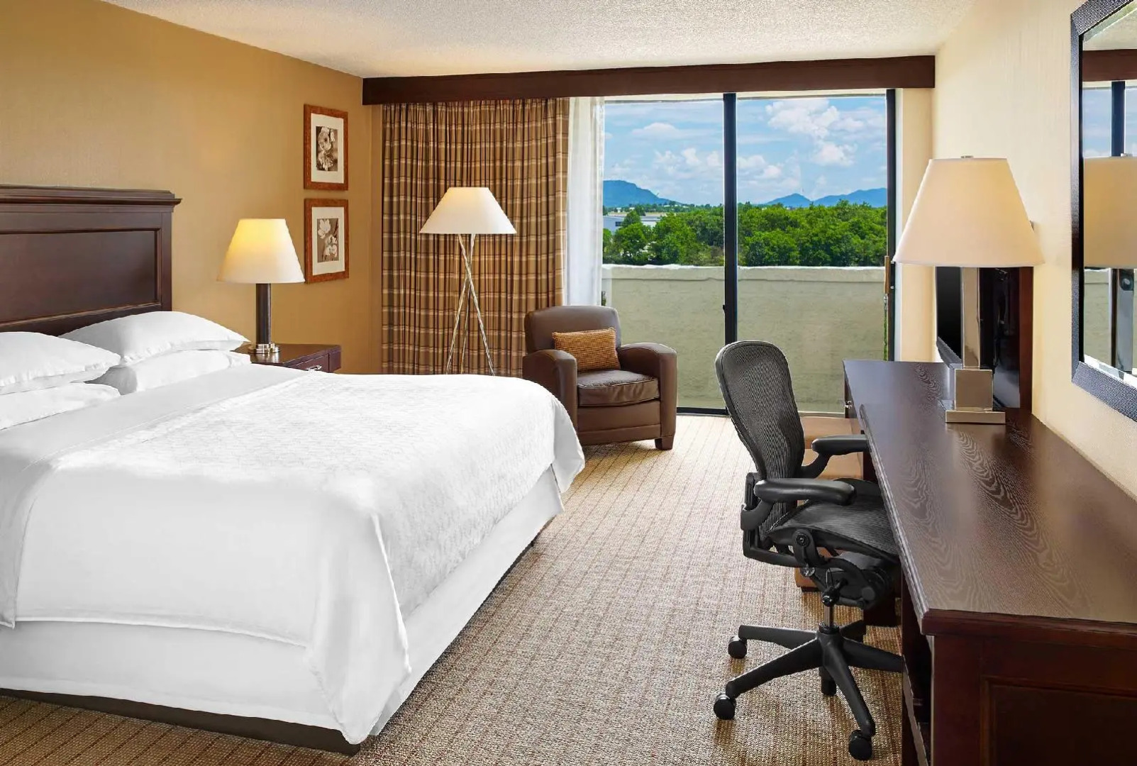 Sheraton Roanoke Hotel & Conference Center