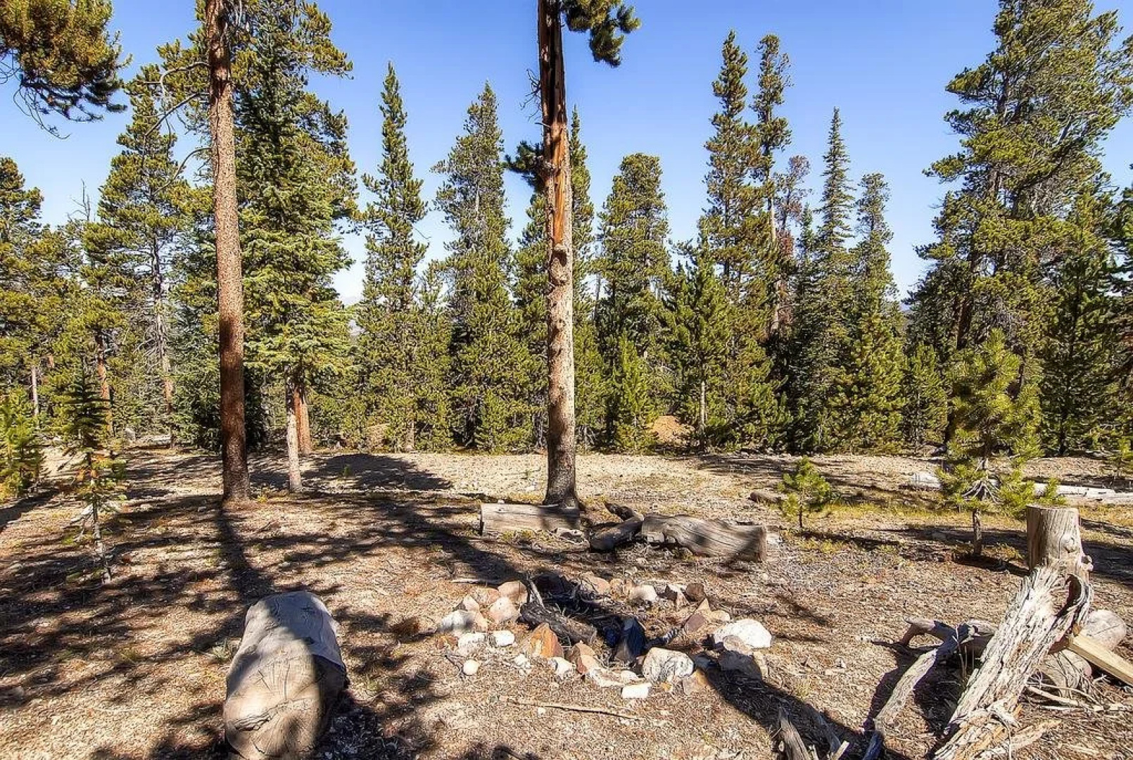 Four-Bedroom Pineview Haus