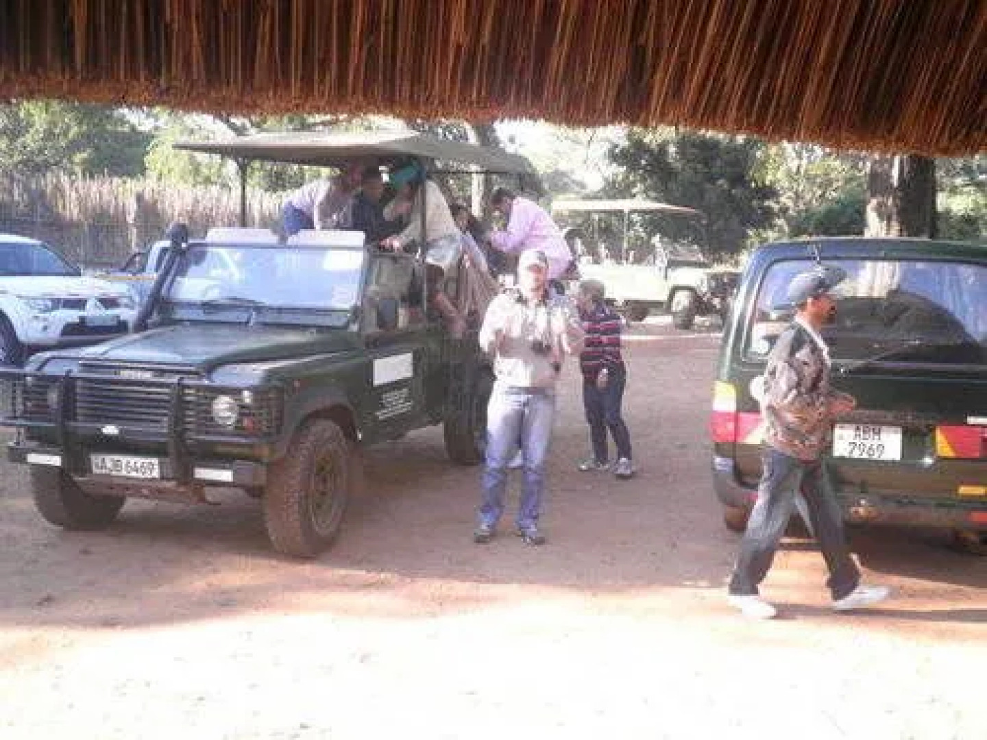 Three Cities Mushroom Lodge