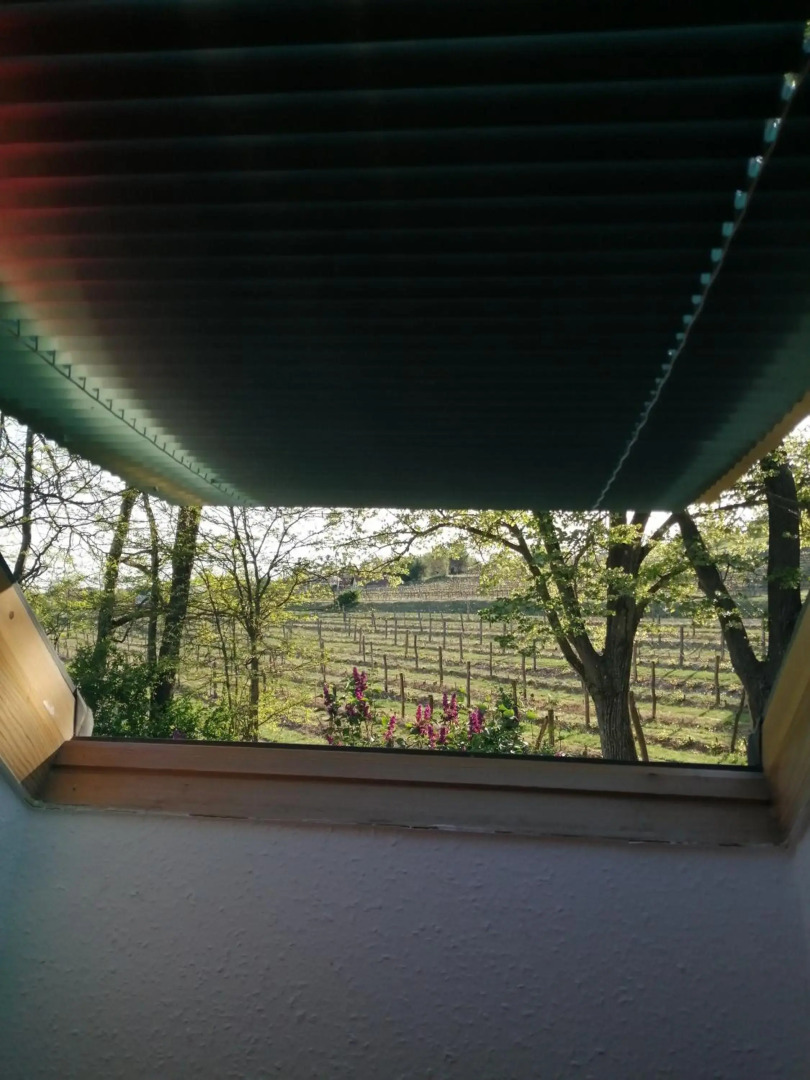 Pilikán Apartments - Park - Vineyard & Sheep farm