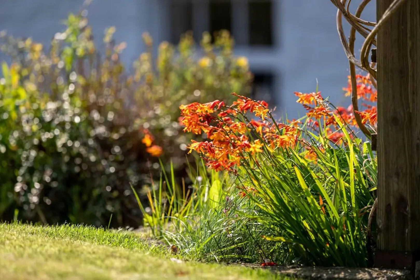 Craigmount Guest House