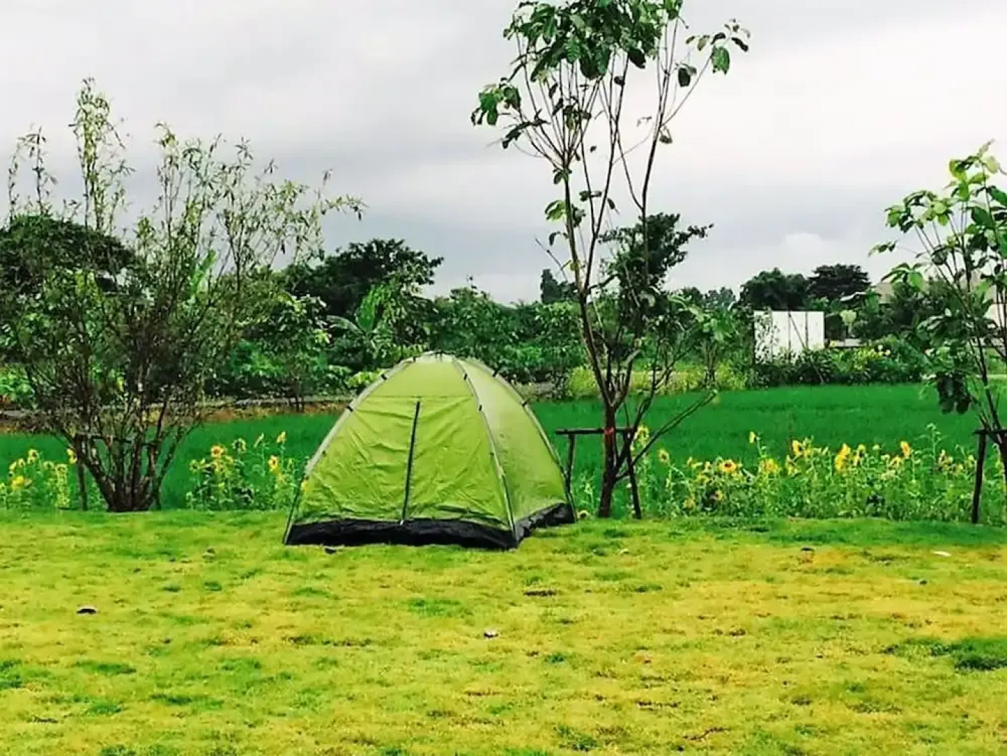 The Vacation Baanraipaina