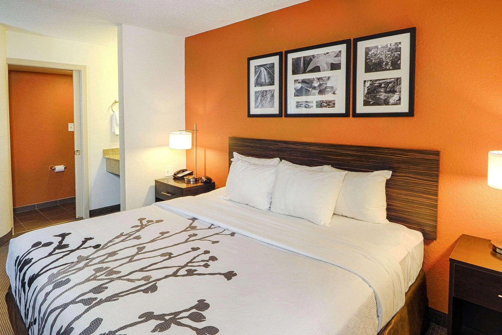 Sleep Inn & Suites Spring Lake - Fayetteville near Fort Bragg