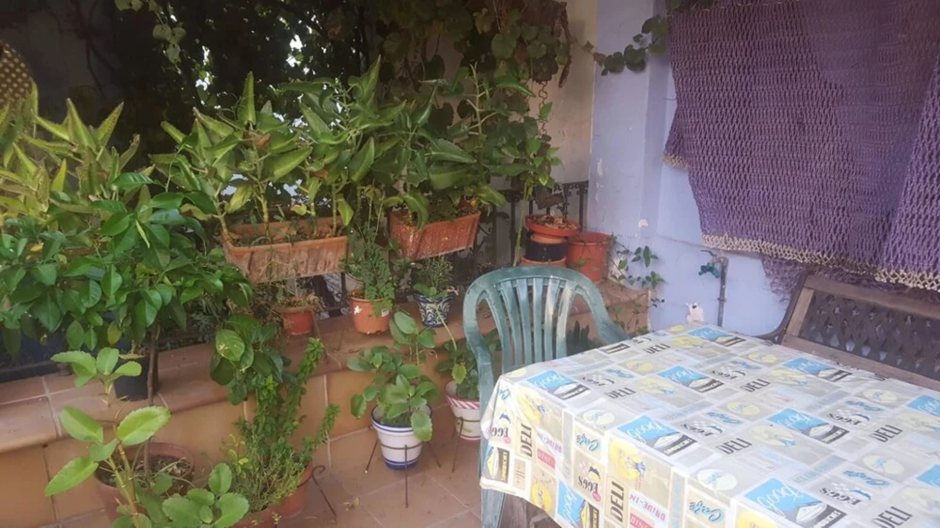 Studio in Jerez de la Frontera, With Furnished Terrace and Wifi - 5 km